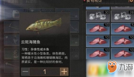 明日之后云斑海豬魚(yú)怎么獲得?明日之后云斑海豬魚(yú)在哪釣?