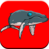 Dolphin Show Games For最新版下载