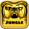 Jungle Run Oz安卓手机版下载