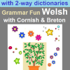 Grammar Fun Welsh with Cornish & Breton dictionary怎么下载