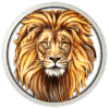 Lion RunBest Animal Running Games for Kids破解版下载