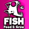 Fish  Feed To Become Grow怎么下载到手机