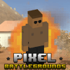 Pixel Battlegrounds  Lost Desert Battle