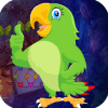 Best Escape Game 570 Find Astrologer Parrot Game安全下载