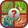 Animals QuizLearn All animals  Travia最新版下载