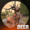 Deer Games 2019  Animal Shooting Games无法安装怎么办