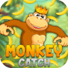 Monkey Catch如何升级版本