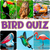 Guess the bird  quiziphone版下载