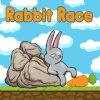 Impossible Rabbit Race如何升级版本