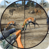 Wild Animal Shooting