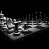 Schach  Brettspiel绿色版下载