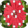Red Flowers Puzzle