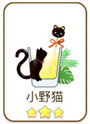 猫千杯长岛冰茶图文攻略