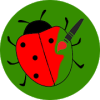 Ladybug ladybird paint app