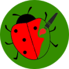 Ladybug ladybird paint app破解版下载