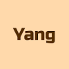 Yang无法安装怎么办