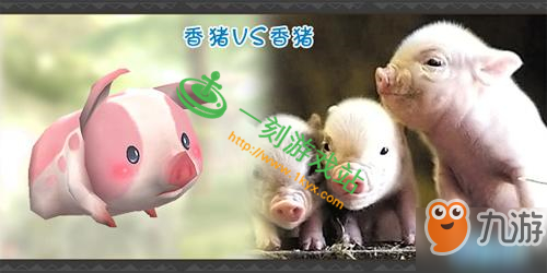 宠物王国单机版第75个任务完成攻略详解