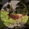 Deer Target Shooting Safari Hunting终极版下载