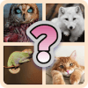 Fun Animals Quiz 2019