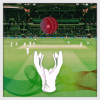 Cricket Catcher怎么下载