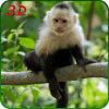 Monkey Simulator 3D版本更新