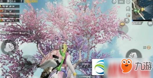 和平精英樱花树刷新位置一览