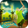 Ramzan Cricket无法打开