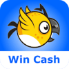 Tappy Bird Challenge  Play and Win Paypal Cash如何升级版本