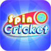 Spin Cricket最新安卓下载