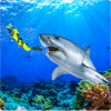 Angry Shark Attack Simulator 2019最新安卓下载