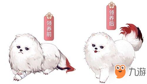 阴阳师赤雪犬领养攻略