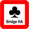 Bridge Hand Analyzer免费下载