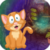 Best Escape Games 206 Hungry Feline Rescue Game