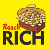 ReachRICH2绿色版下载