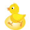 Hatch Eggs For Angry Birds费流量吗