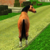 Fury Wild Horse Simulator 3D