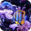 Fish Jigsaw Puzzle版本更新
