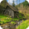 Forest Jigsaw Puzzle免费下载