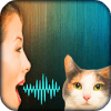 Cat Voice Translator Simulator在哪下载