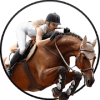 Real Horse Racing & Jumping Simulator 2018 Pro快速下载