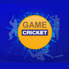 IPL Cricket Game 2019 | Gully Cricket Game玩不了怎么办