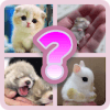 What are Baby Animals Called占内存小吗