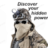 What's Your Hidden Power怎么安装