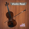 Violin Real如何升级版本