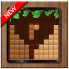 Block Puzzle  Wood Breaker版本更新