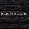 Escape from Labyrinth