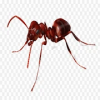 Ant Blasters版本更新