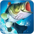 Fishing Clash狩猎鱼冲突绿色版下载