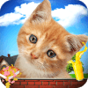 Cat Simulator 2019 Kitty Cat VS Rat Game怎么下载到手机