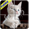 Cut Baby Cats Jgsaw Puzzl Gam免费下载